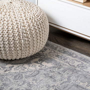 Jerica modern Persian Vintage Medallion Area Rug